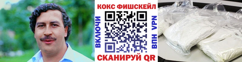 Cocaine Fish Scale  гидра ТОР  Покачи  где купить наркоту 