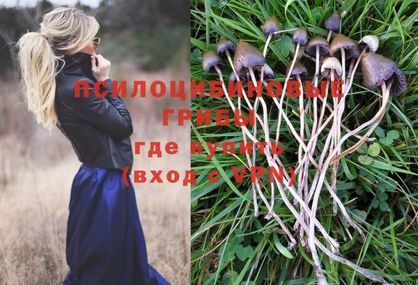 бошки Покровск