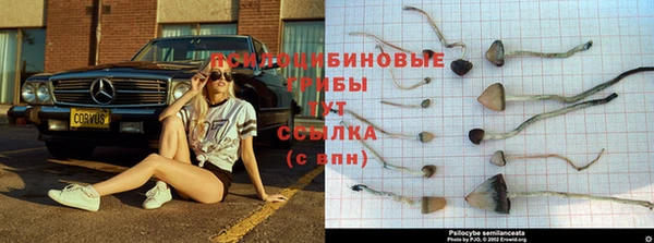 бошки Покровск